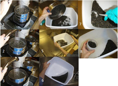 Forage Fish Survey Sampling Methods